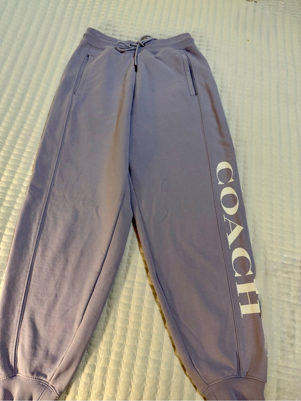 Womans Coach Essential Joggers in Lavender - Small